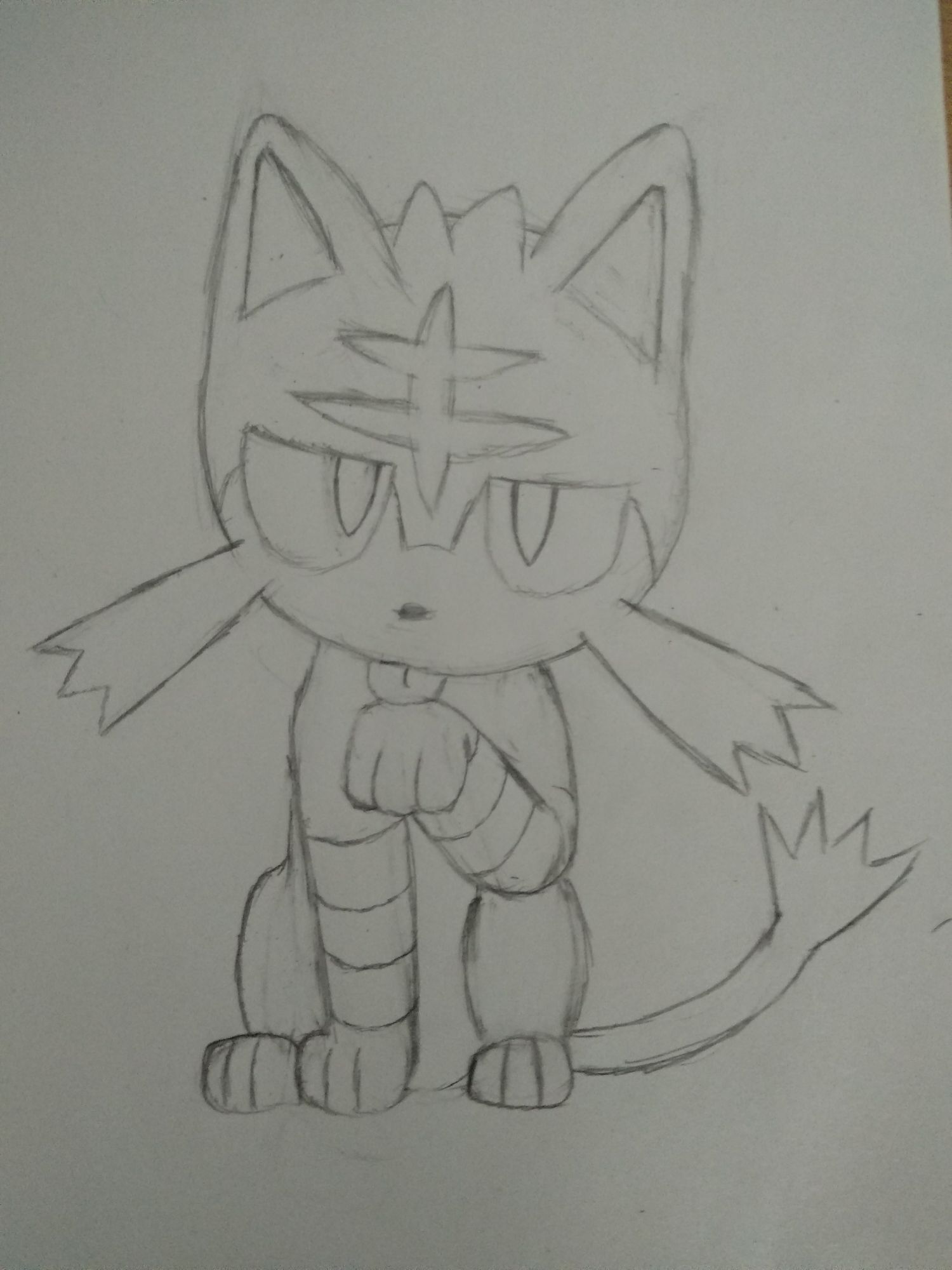 Litten by mega