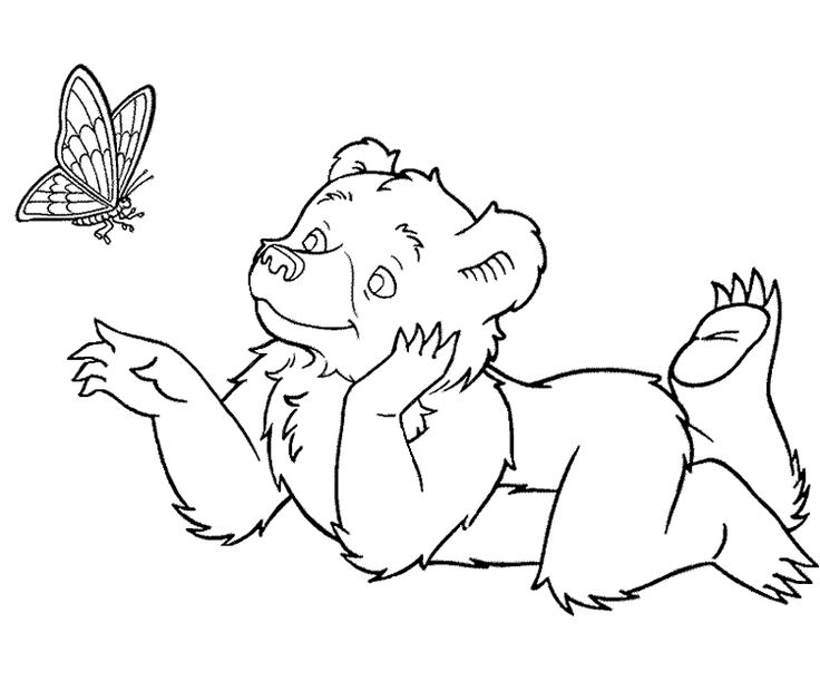 Little bear coloring pages bear coloring pages rtoon coloring pages little bear rtoon