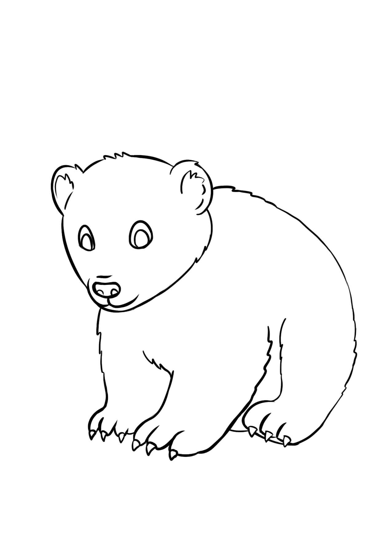Little bear coloring page