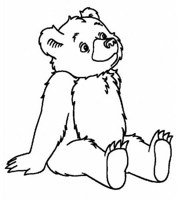 Little bear coloring pages