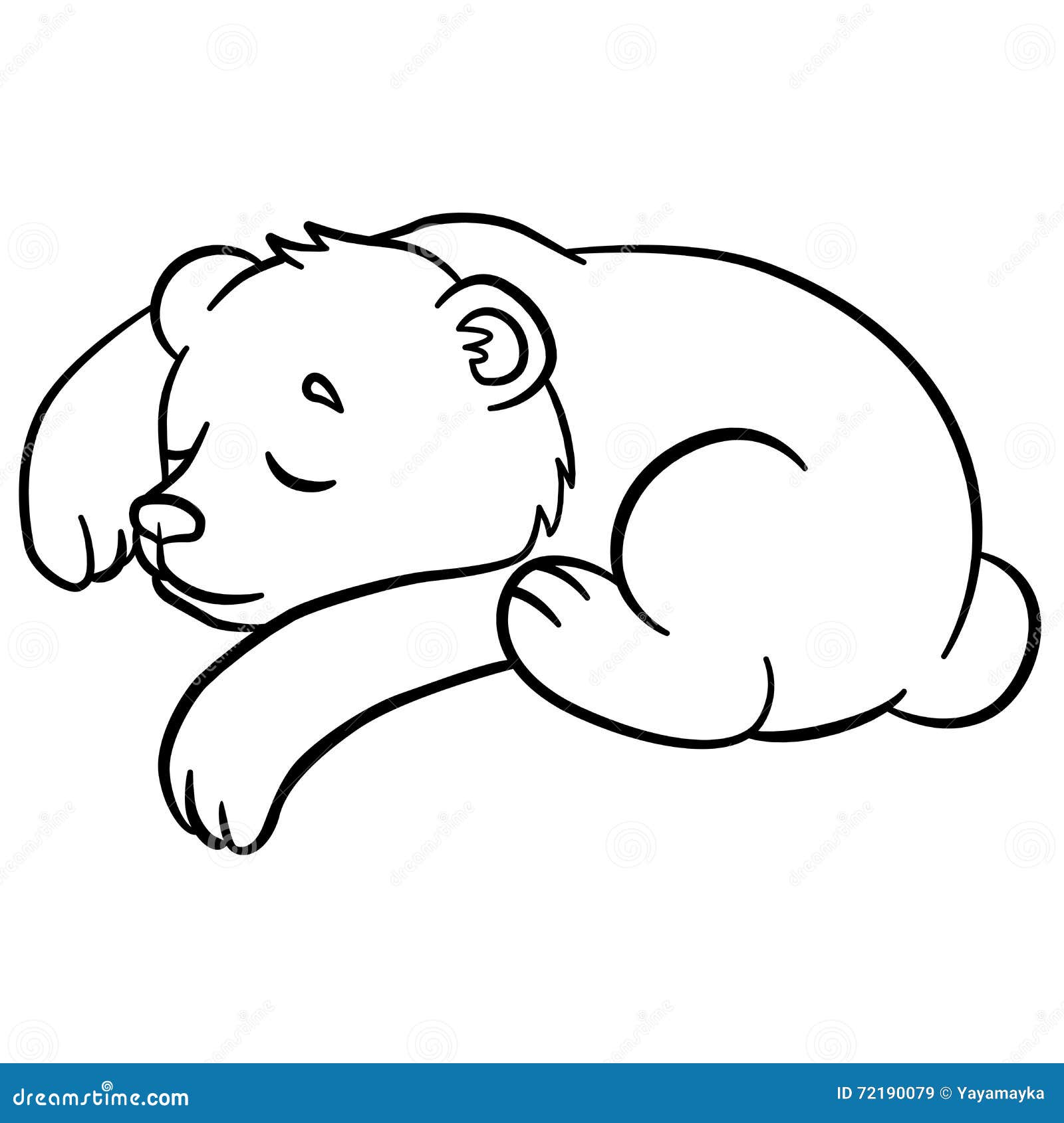 Coloring pages wild animals little cute baby bear sleeps stock vector