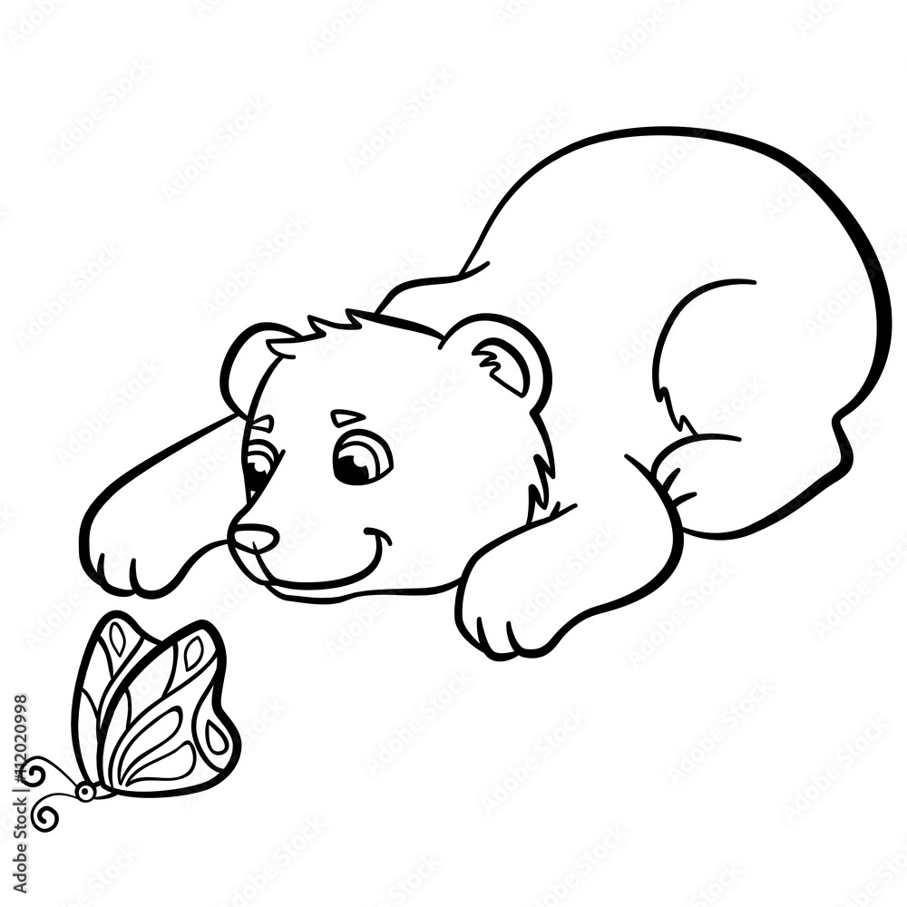 Coloring pages wild animals little cute baby bear vector