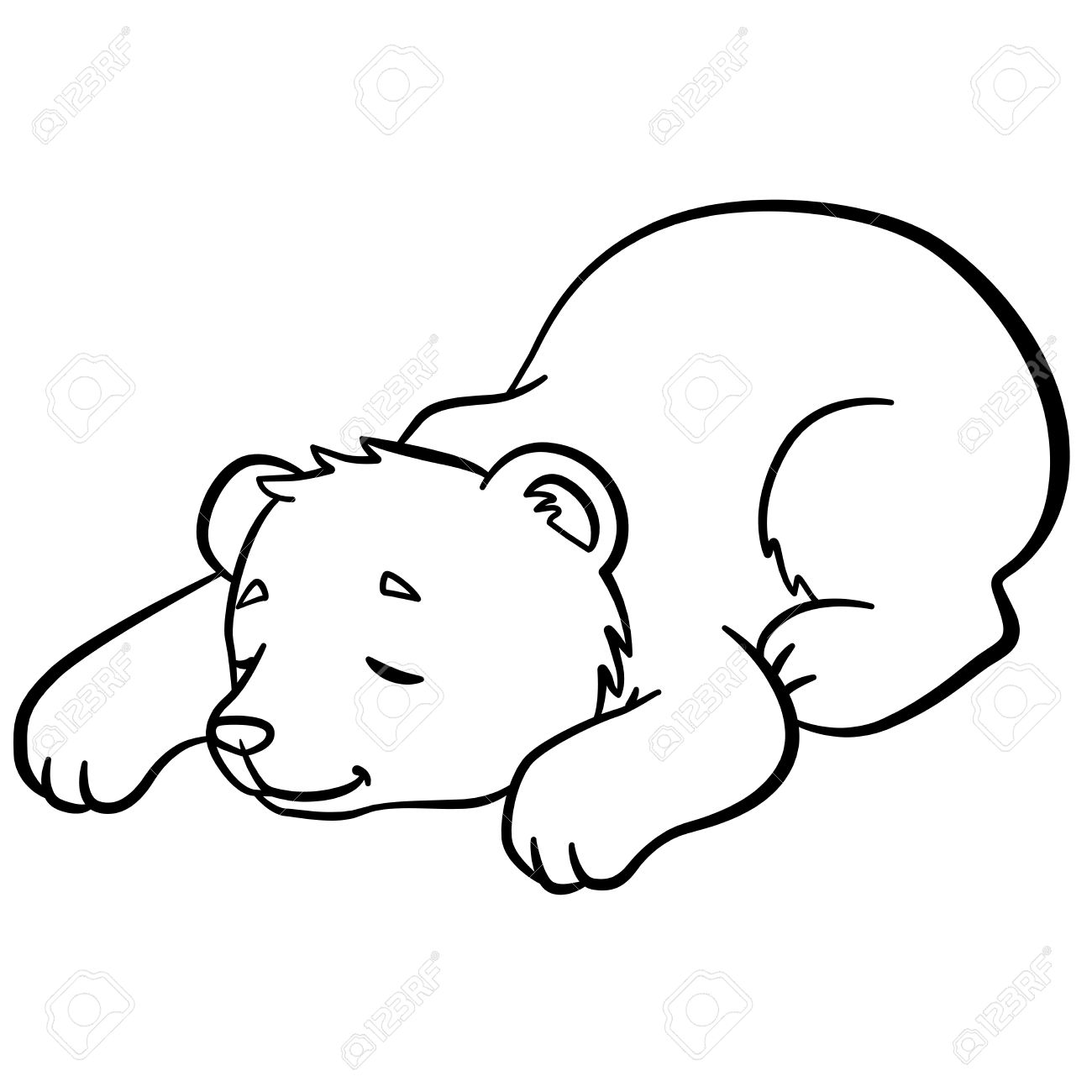 Coloring pages wild animals little cute baby bear sleeps it is so sweet royalty free svg cliparts vectors and stock illustration image