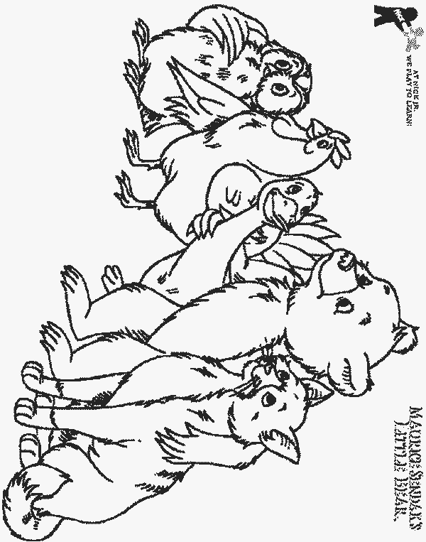 Best little bear coloring pages for kids