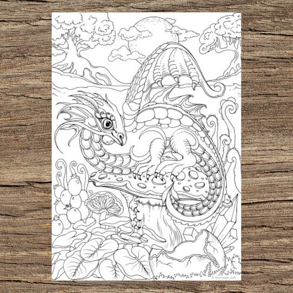 Little dragon printable adult coloring page from favoreads coloring book pages for adults and kids coloring sheets colouring designs