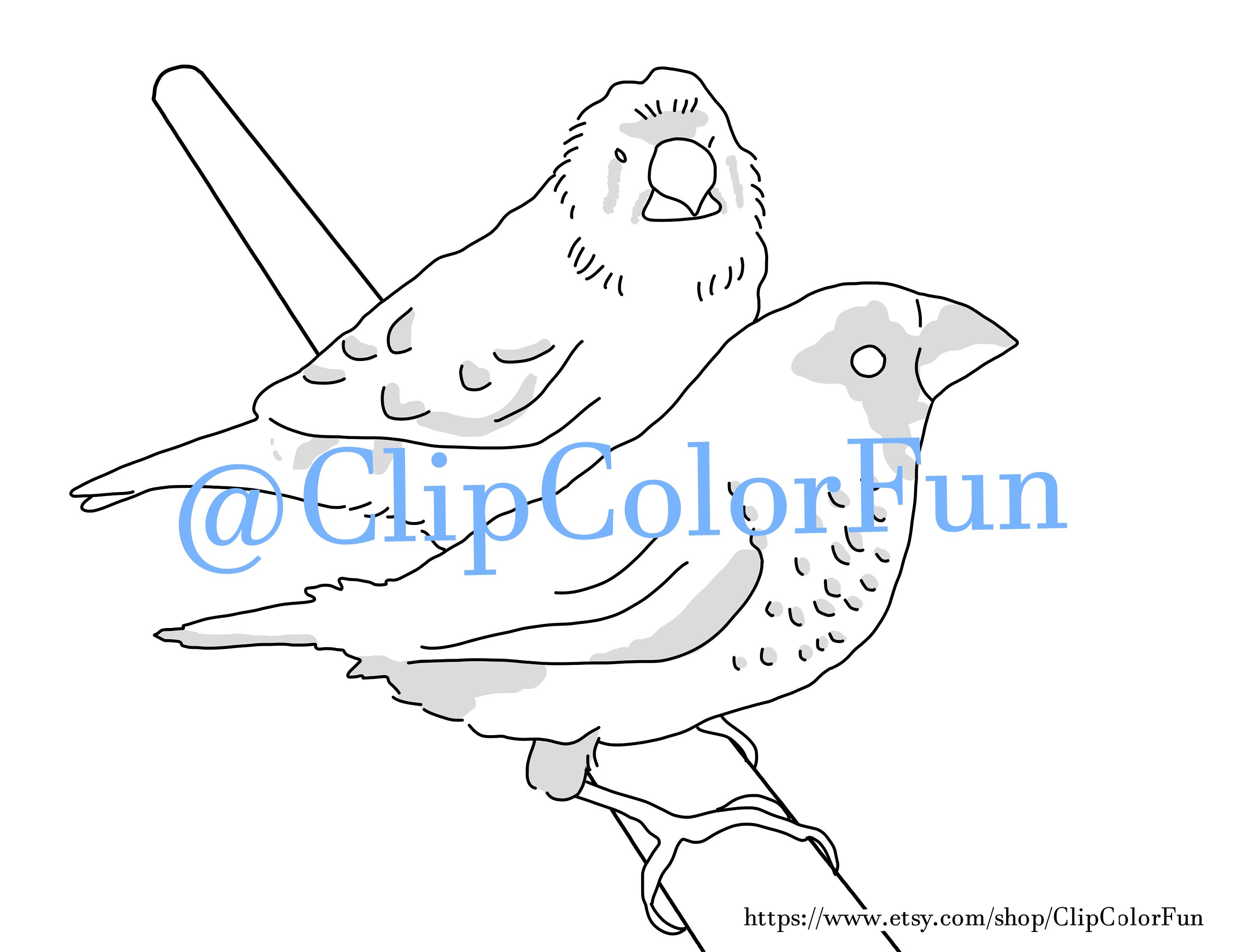 Zebra finch art little finches bird coloring page finches