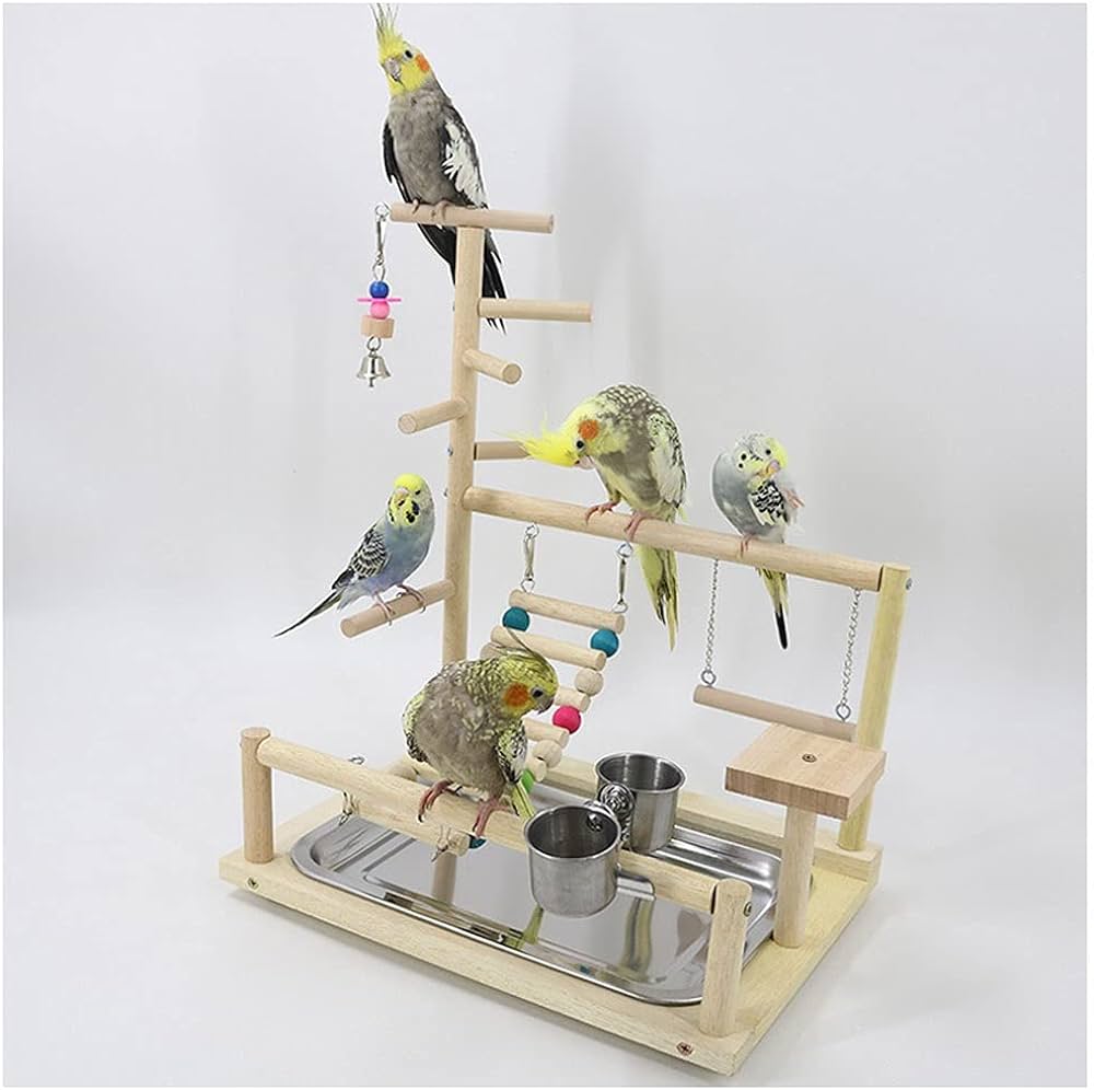 Birdges parrot interactive playground stand little parrot toy swing supplies climbing suitable for parakeets finch bird parrot bird ge color a pet supplies