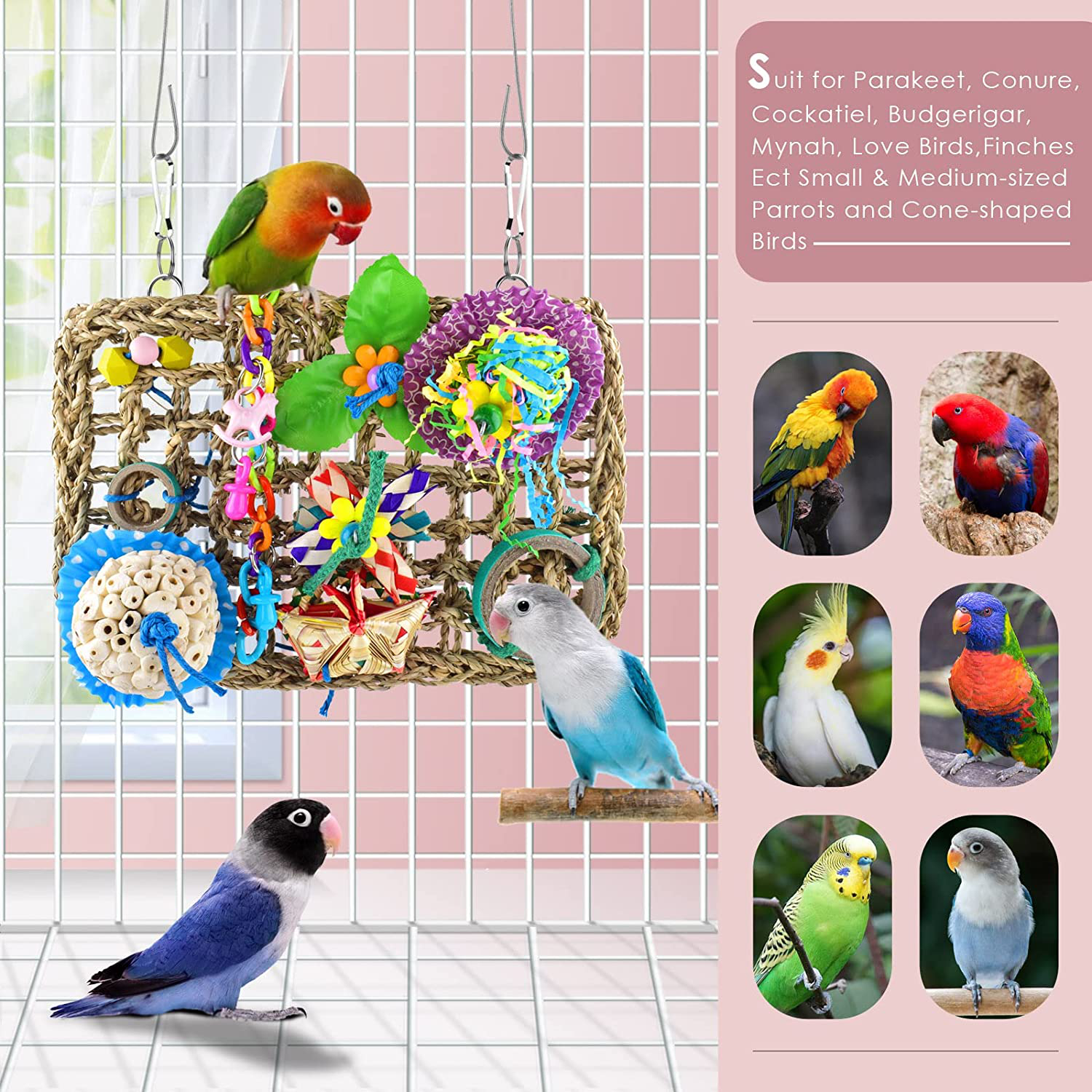 Katumo bird toys bird foraging wall toy edible seagrass woven climbin â