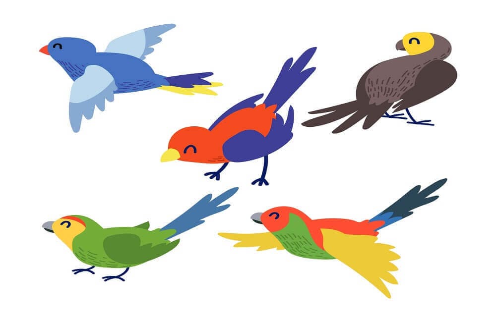 Birds coloring pages printable