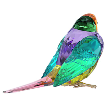 Idyllia scs gouldian finch small