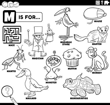 Muffin coloring book png transparent images free download vector files