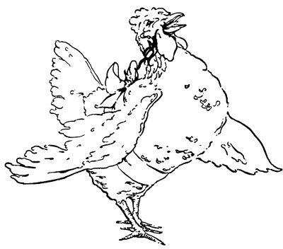 Filelittle red hen image jpg