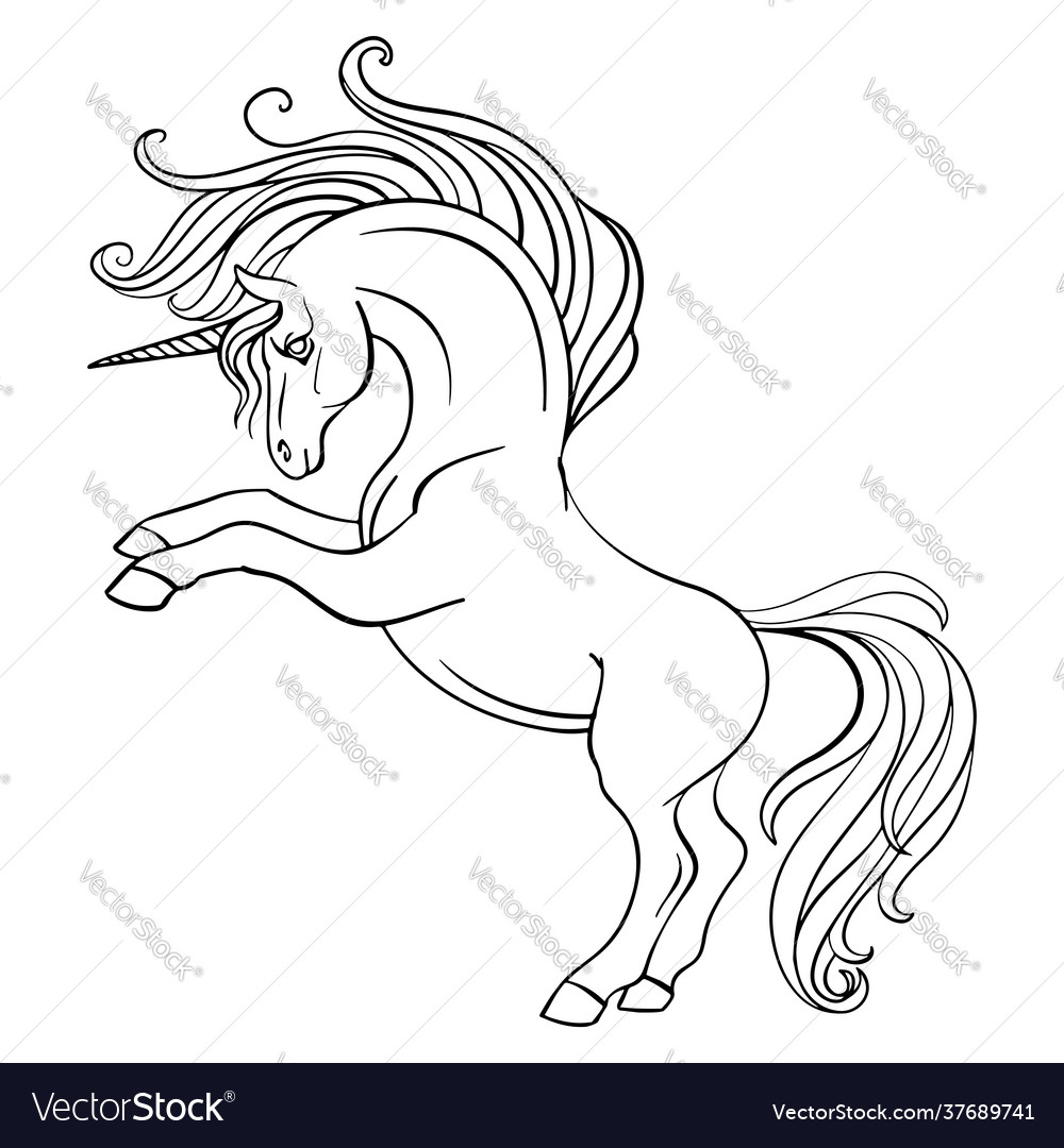 Little unicorn coloring book page royalty free vector image