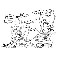 Best free printable ocean coloring pages online
