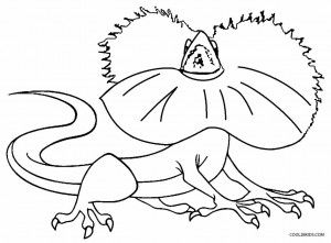 Frilled lizard coloring pages coloring pages animal coloring pages chameleon color