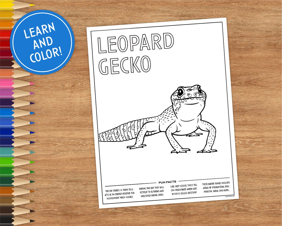 Printable coloring page leopard gecko includes fun facts coloring pages for kids coloring pages printable digital download lizard