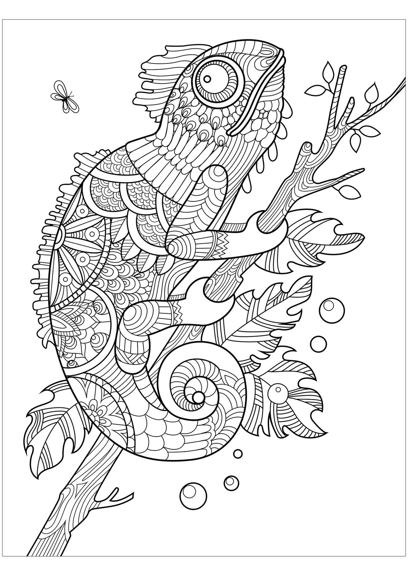 Zentangle chameleon