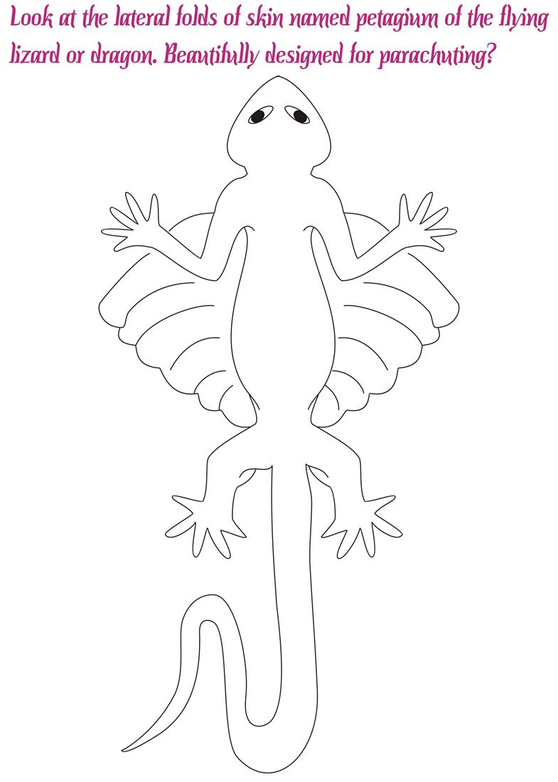 Flying lizard dragon coloring pages
