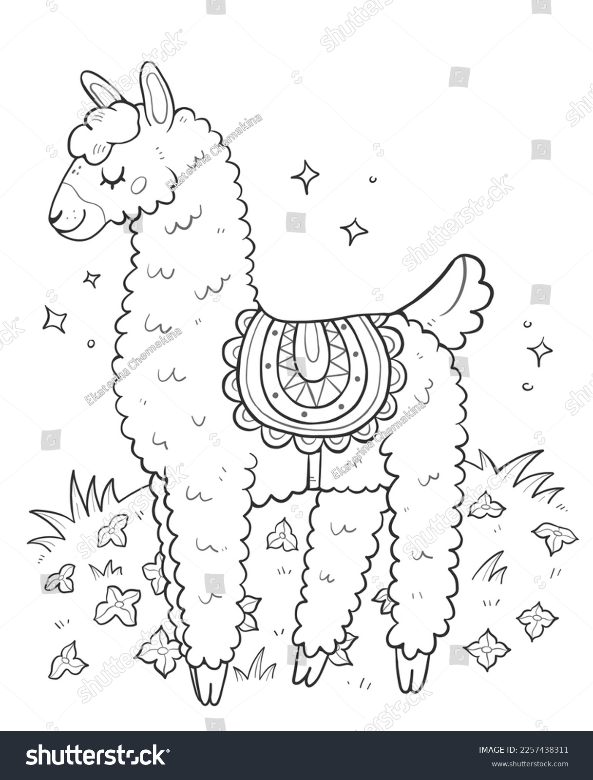 Llama coloring book images stock photos d objects vectors