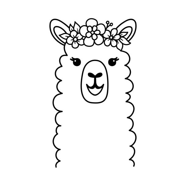 Hand drawn funny portrait of llama with floral wreath on head black and white line drawing for coloring page cute outline vector illustration isolated on white stock illustration