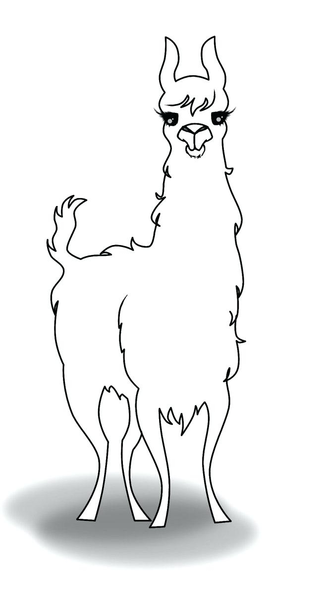 Llama coloring pages