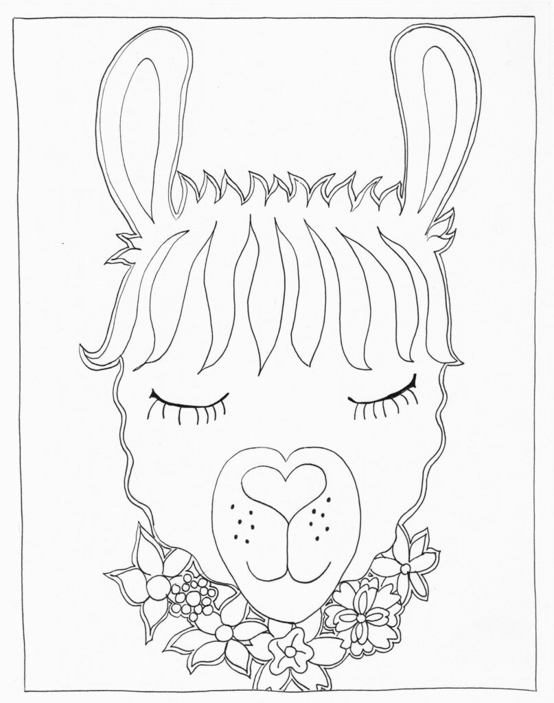 Sweet alpaca or llama â creativity sparks