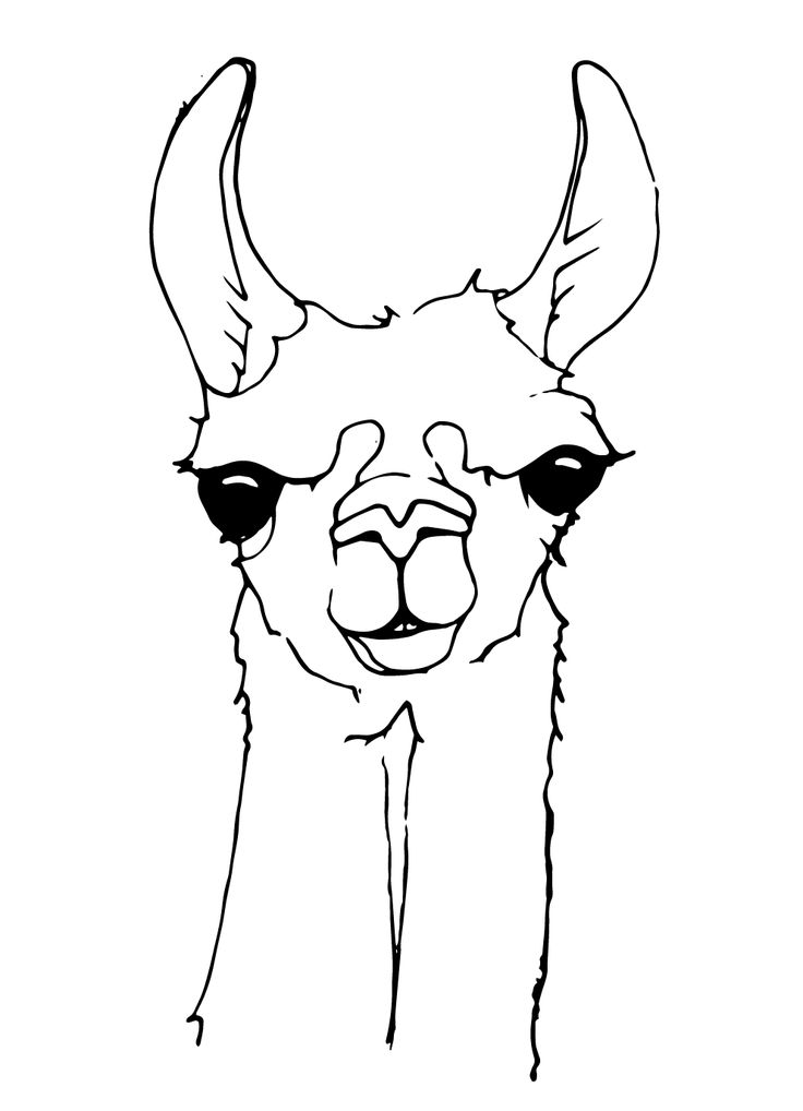 Printable coloring pages coloring pages animal coloring pages color