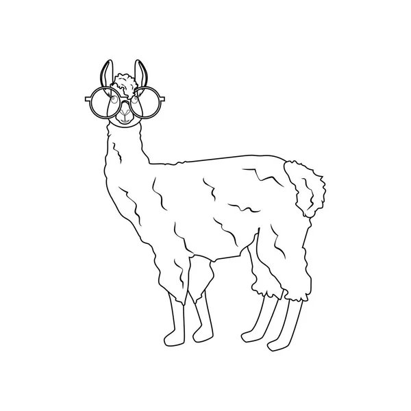 Llama sketch vector images