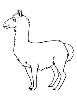 Llama template llama poster llama bulletin board llama coloring llama outline
