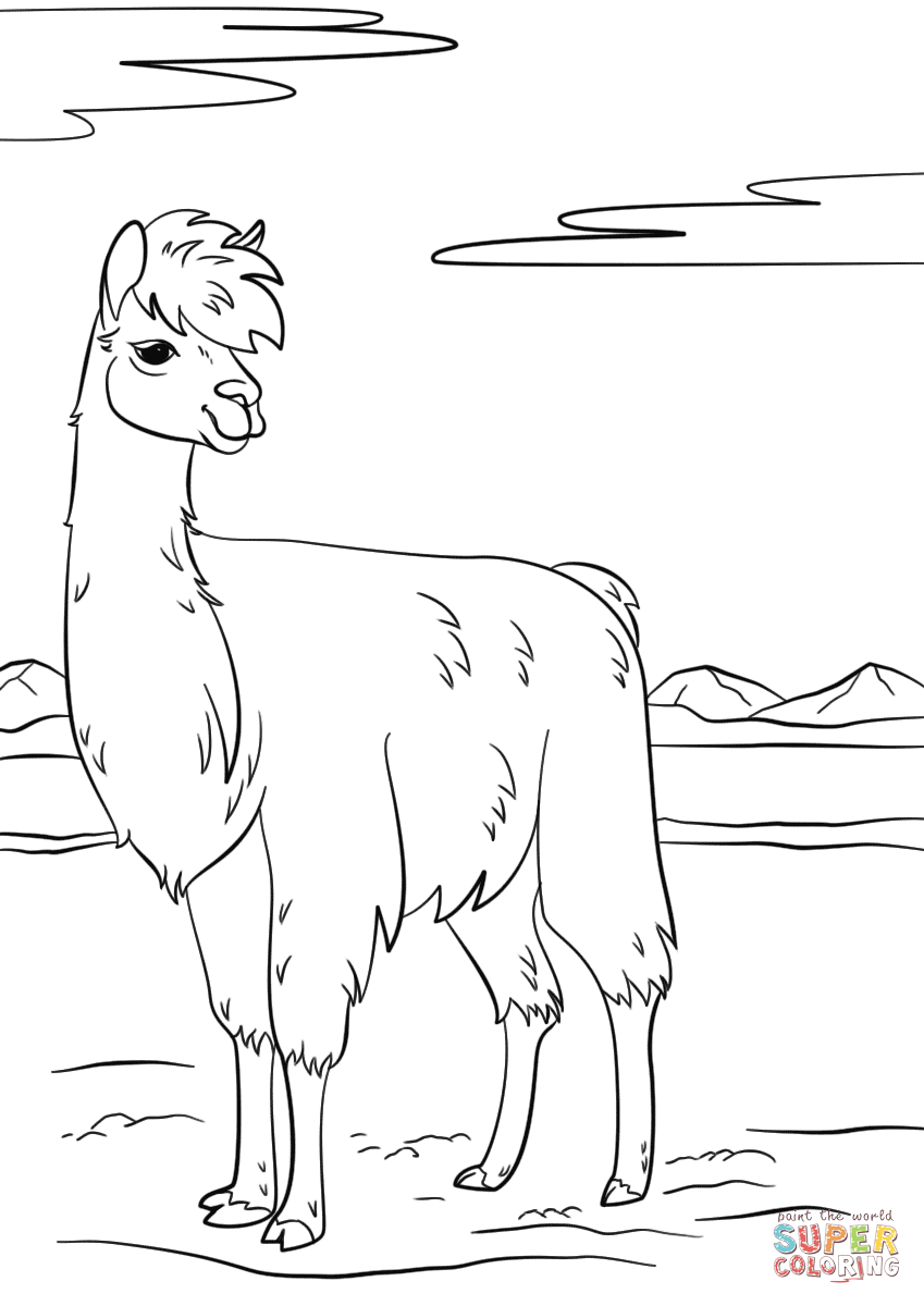 Llama coloring page free printable coloring pages