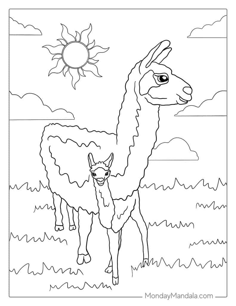Llama coloring pages free pdf printables