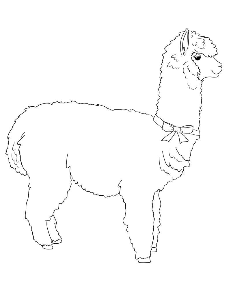 Llama coloring pages