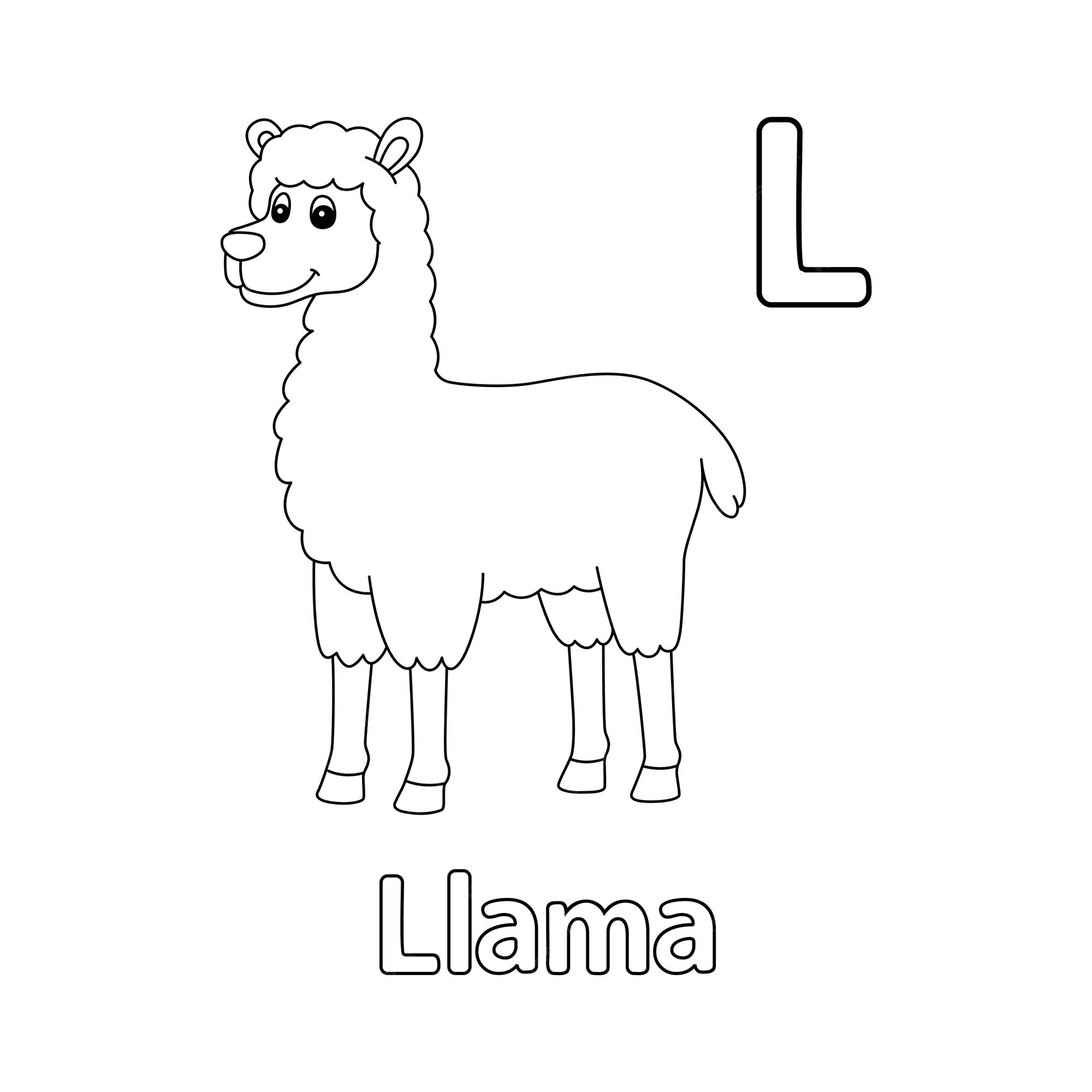 Premium vector llama alphabet abc coloring page l