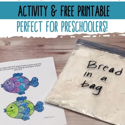 Fishes and loaves activity two pink peonies