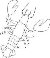 New england lobster coloring page