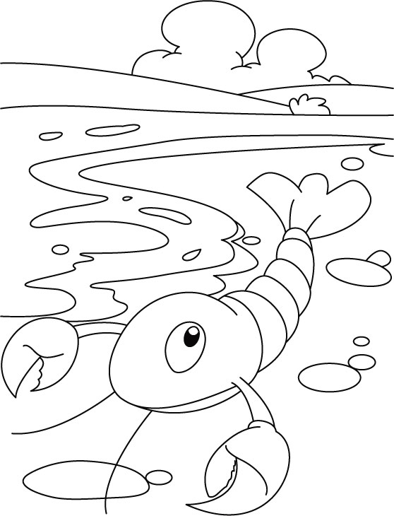 Little lobster coloring pages download free little lobster coloring pages for kids best coloring pages