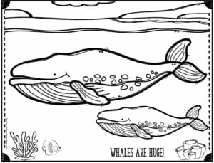 Ð free printable ocean coloring pages