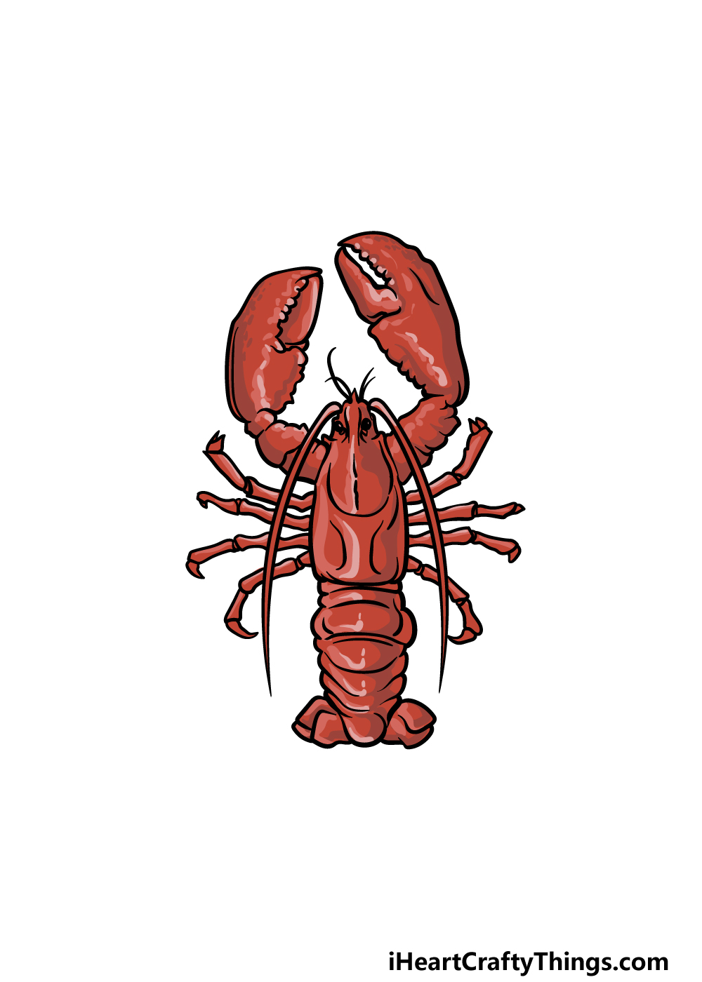 Lobster drawing