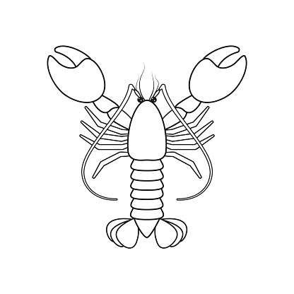 Lobster outline drawing coloring page stock illustration