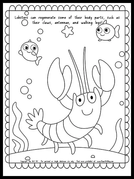 Cute lobster coloring page with fun fact about regenerating â free printable â the art kit
