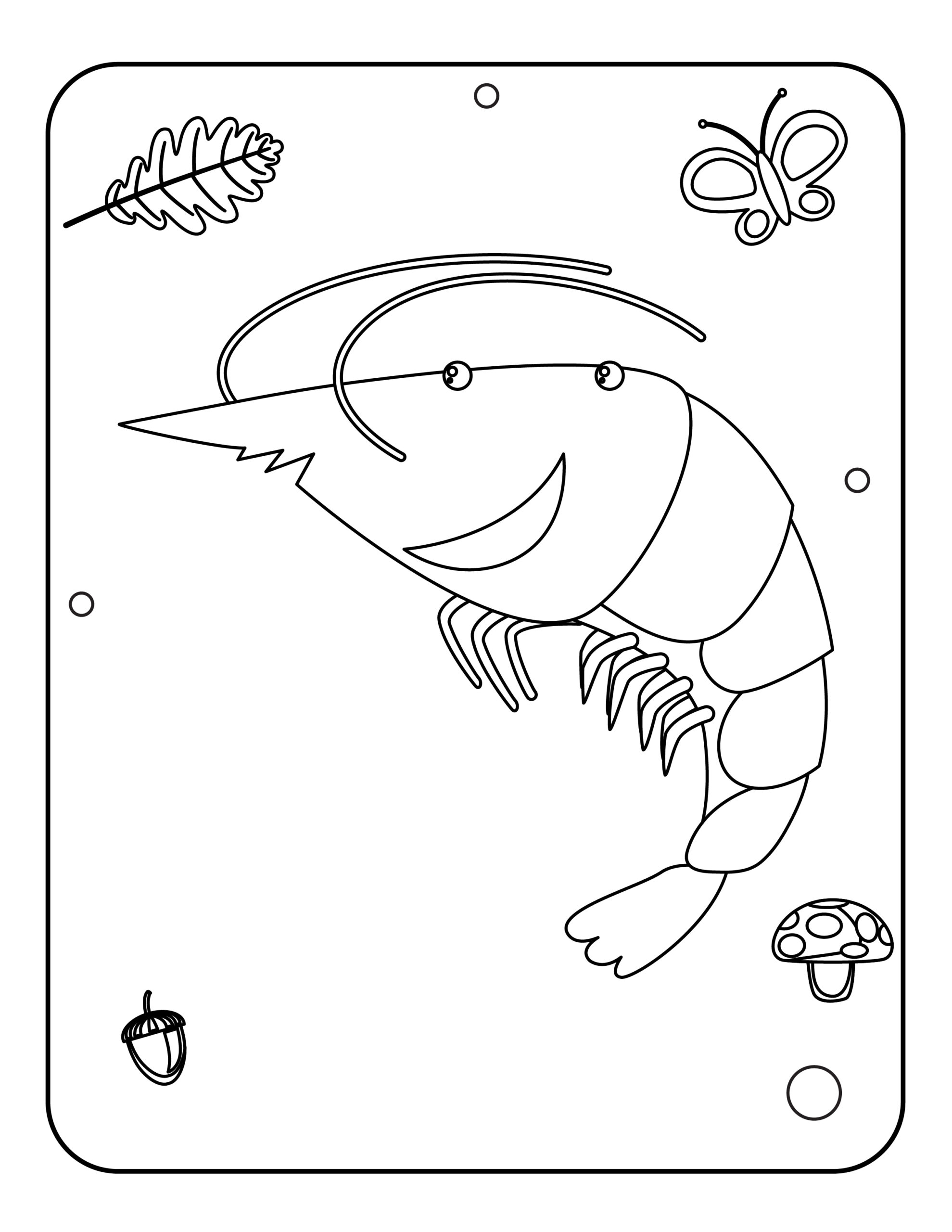 Woodland animals coloring pages