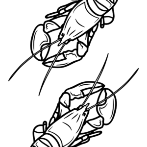 Lobster coloring pages printable for free download