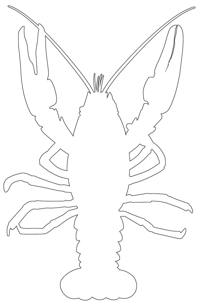 Lobster outline cute