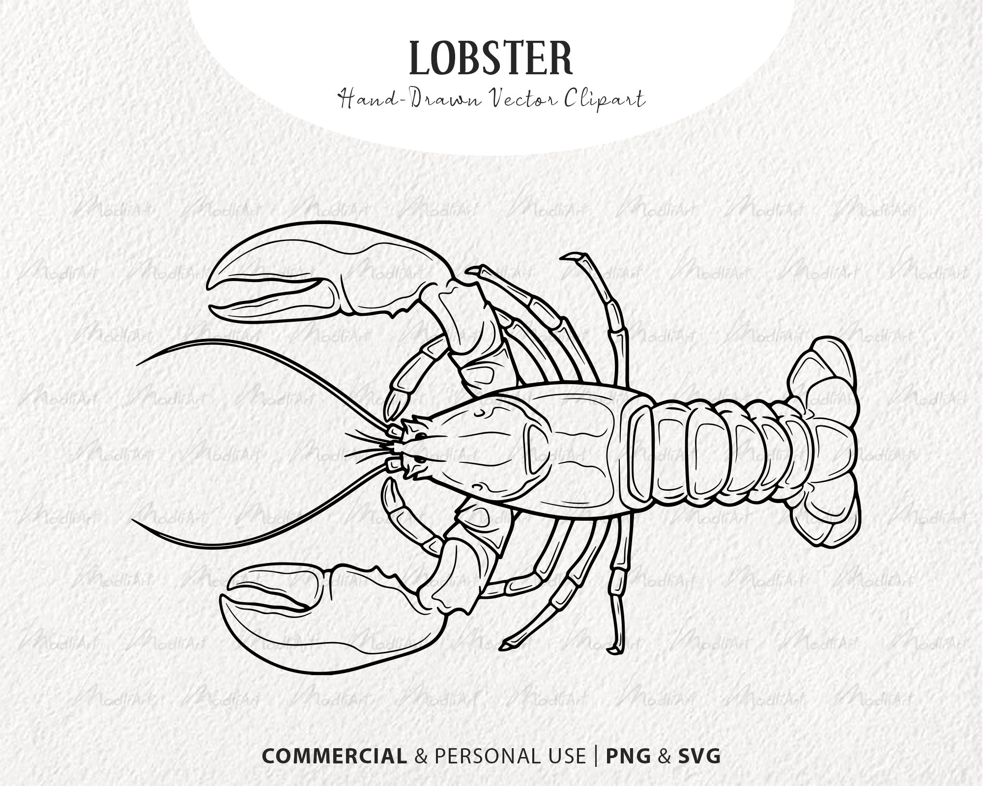 Lobster vector clipart hard shell sea creature artwork minimalistic ocean mammal line drawing marine animal png svg mercial license