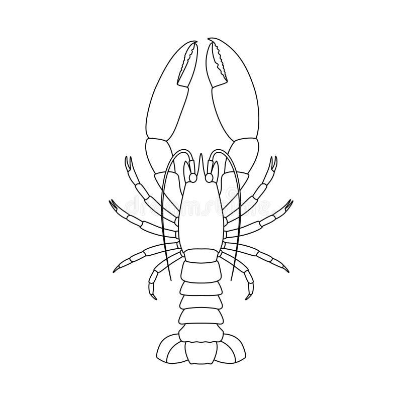 Lobster stencil stock illustrations â lobster stencil stock illustrations vectors clipart