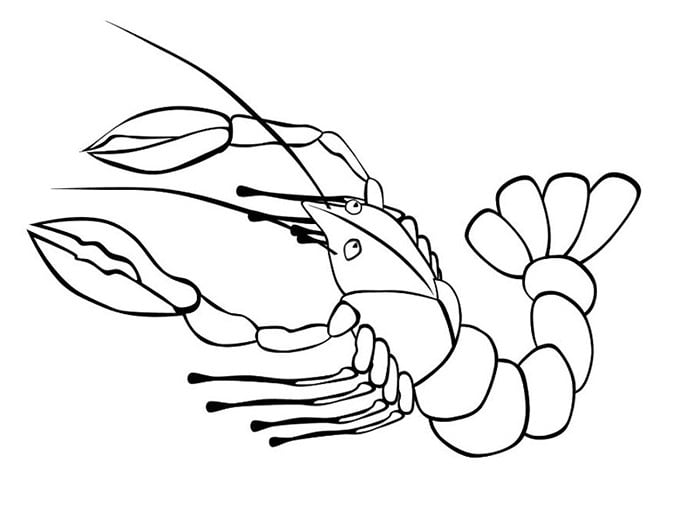 Sea creature s