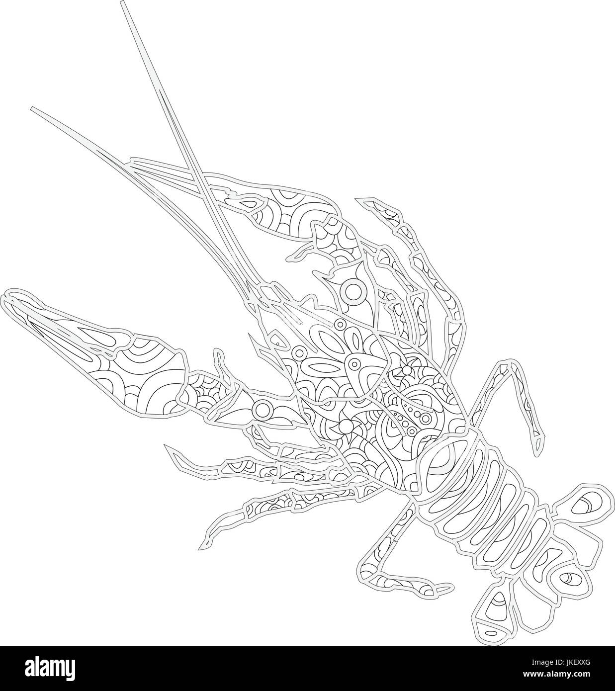 Spiny lobster black and white stock photos images