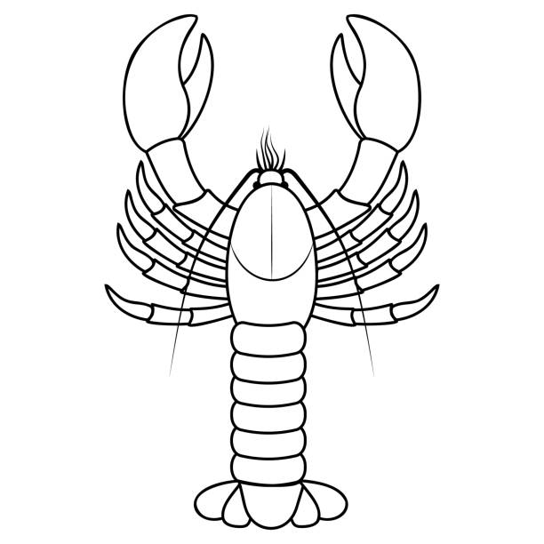 Silhouette of a how to draw a crayfish stock illustrations royalty