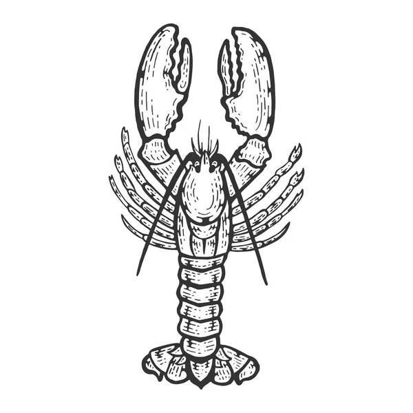 Lobster coloring book for adults vector stock vector by alexanderpokusay
