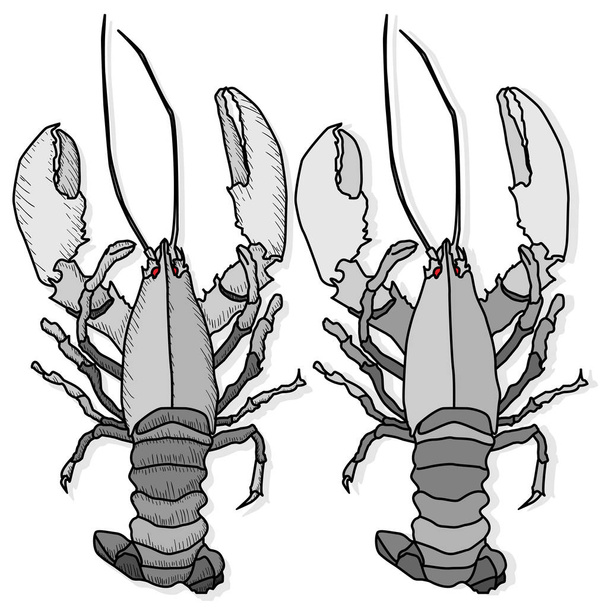 Îîïîîîîî free stock vectors